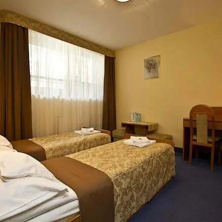 Fian - I Konferencje W Centrum 3* Zakopane