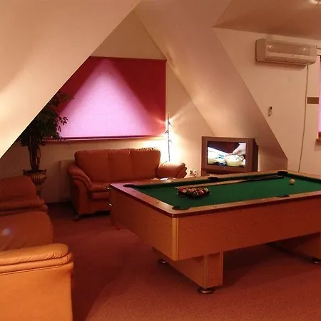 Fian - I Konferencje W Centrum 3* Zakopane