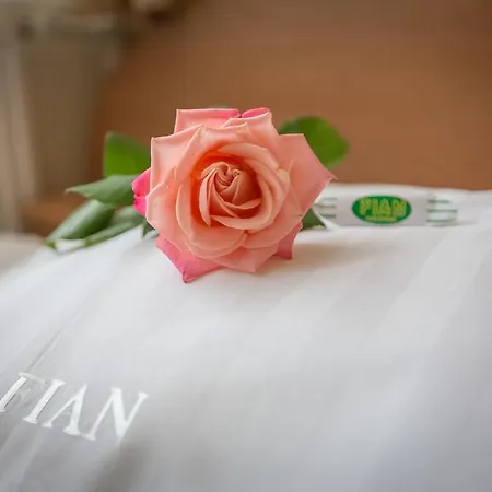 Fian - I Konferencje W Centrum 3*