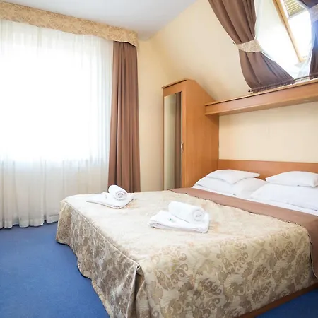 Fian - I Konferencje W Centrum 3* Zakopane